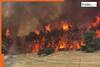Israel battles worst wildfires in a decade, Netanyahu declares national emergency as flames grow closer to...