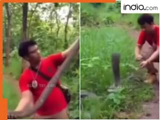 Cobra Ka Video: हद हो गई! शख्स करने लगा किंग कोबरा को परेशान, फिर जो हुआ किसी ने सोचा नहीं होगा,देखें Viral Video