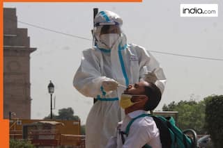 WHO issues BIG COVID update amid spike in cases, says high positivity rate after..., India, China, US report...