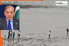 Rattled Pakistan claims 90% drop in water supply, blames India for blocking Chenab River flow, says agriculture..., warns of...
