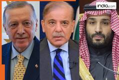 India Pakistan war: Muslim countries like Saudi Arabia, Qatar, UAE, Turkey announce support for..., supply of weapons...