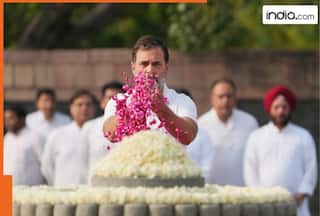 Congress, Rahul Gandhi remember Rajiv Gandhi on his 34th death anniversary: 'His visionary interventions instrumental in...'