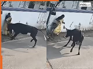 Saand Ka Video: बच्चे को बचाने के लिए खूंखार सांड से भिड़ गई महिला, फिर जो दिखा दहल उठा हर कोई | देखें वीडियो