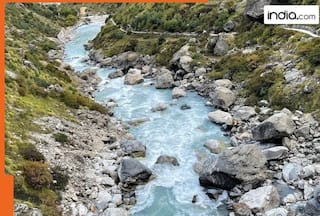 india.com top news