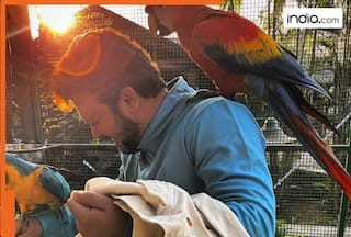 Meet actor, who played role of young Shah Rukh Khan in Baazigar, acted as superhero on TV serial, now earns money from…