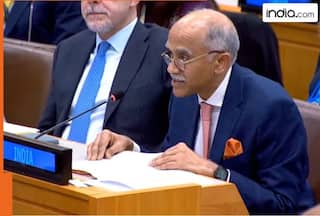 After giving strong reply to 57 Muslim nations, India shows Pakistan its place at UN following..., sends a message that Shehbaz will...