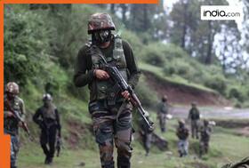 india.com top news