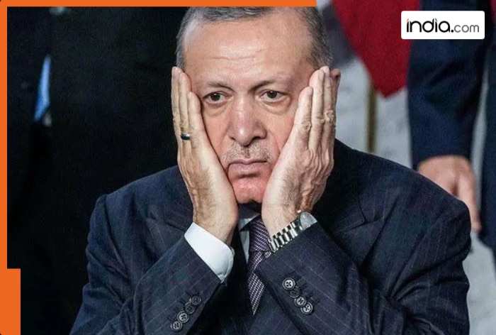 Boycott Turkey: One action by India destroys this Turkey company, loses Rs 17000000000 in one day, the name is…