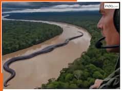 नदी में परिवार संग तैरता दिखा विशालकाय एनाकोंडा, देखते ही कांप उठा हेलीकॉप्टर में बैठा शख्स