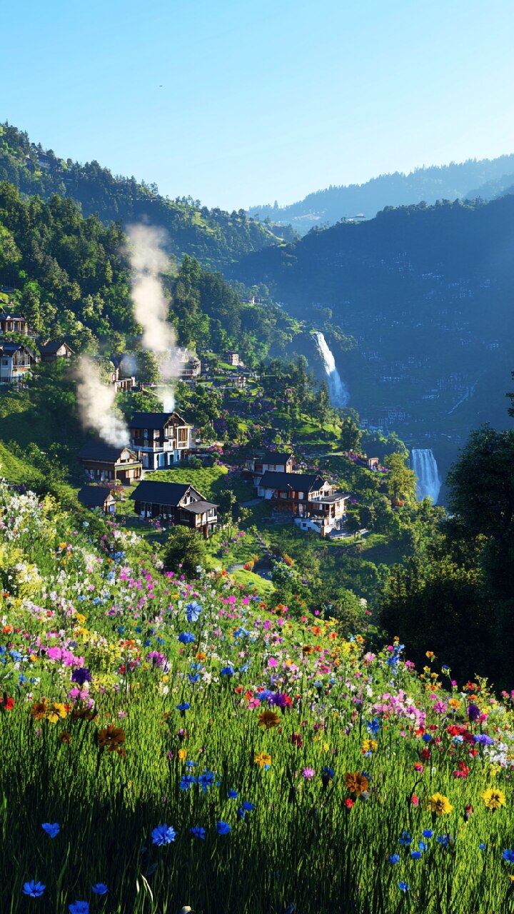 हरियाणा का एकमात्र हिल स्टेशन, ट्रैकिंग-बर्डवॉचिंग के लिए परफेक्ट है परफेक्ट