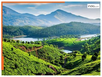 india.com top news