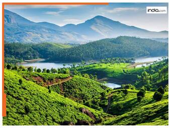 india.com top news