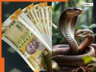 MP News: सांप के काटने का झूठ बोलकर एक जिले में 47 लोगों ने सरकार से हड़पे ₹11 करोड़