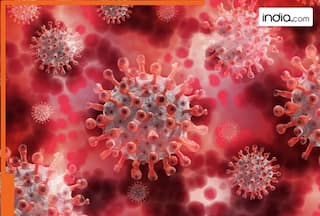 Covid-19 in India Live: Total active cases rise to 1010, Maharashtra, Kerala among hotspot states