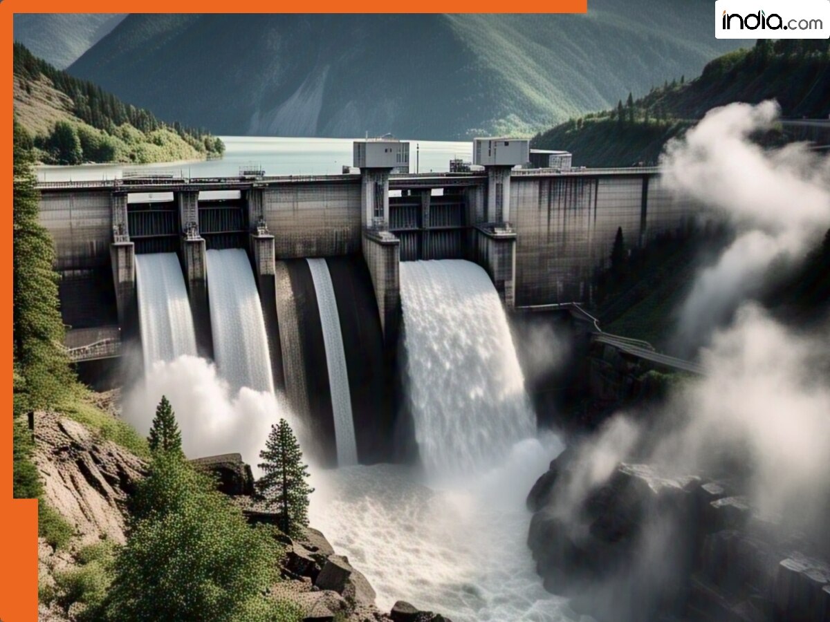 बगलिहार डैम के बाद भारत ने चिनाब नदी पर बने सलाल बांध के भी गेट खोले, पाकिस्तान की ओर तेजी से बढ़ रहा है पानी