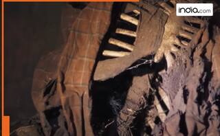 This 8-episode web series is remake of Korean drama, IMDb rating is 8.1, it's whodunit with a twist; Name is... actors are...