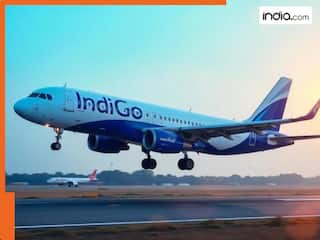 भारत ने तुर्किए को दिया एक और झटका! टर्किश एयरलाइंस को लेकर हुआ ये बड़ा एक्शन, जानिए पूरी डिटेल