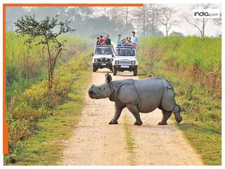 Kaziranga National Park: 19 मई से बंद होगी जीप सफारी, बेहद सुंदर है ये नेशनल पार्क