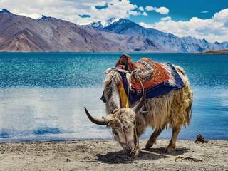 Discover The Top 5 Eco-Friendly Travel Destinations In Leh