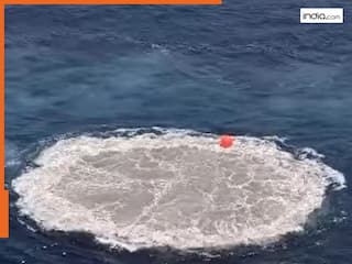 पानी में बनेगी 'पाकिस्तानी सेना की कब्र', जानें भारतीय नौसेना और DRDO के नए हथियार MIGM की ताकत, देखें वीडियो