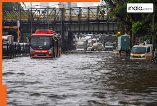 'Next 48 hours crucial for Mumbai': Maharashtra CM Devendra Fadnavis issues warning as rain hits large parts of Maharashtra | 10 points