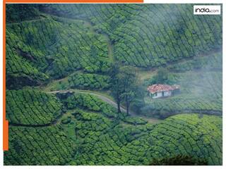 मुन्नार कैसे पहुंचें? सारी डिटेल जान लीजिये; फिर बनाइये प्लान