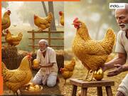 मुर्गियों ने सोने के अंडे से भर दिया पूरा फार्म, हक्का-बक्का रह गया किसान