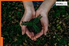 India's silent emergency: Why saving nature is saving ourselves