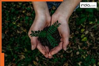 India's silent emergency: Why saving nature is saving ourselves