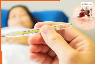 क्या डेंगू डाल सकता है फर्टिलिटी में बाधा? डॉक्टरों से जानें सच्चाई