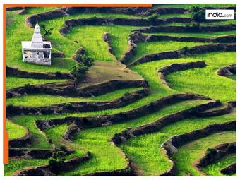 india.com top news