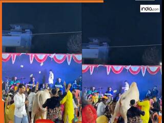 Saand Ka Video: चुपके से डिस्को पार्टी में घुस गया सांड, पहले किया इंज्वॉय फिर उठा-उठाकर लगा पटकने | देखें वीडियो