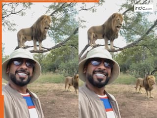 Sher Ka Video: बिना डरे शेर संग सेल्फी लेने पहुंच गया शख्स, फिर जो हो गया जिंदगी में नहीं देखा होगा | देखें वीडियो