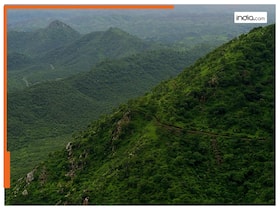 india.com top news