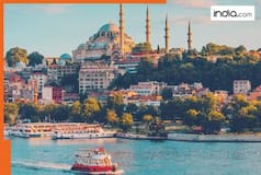Not weapons, Turkey's biggest source of income comes from THIS sector, contributes largely in country's GDP and..., it is...