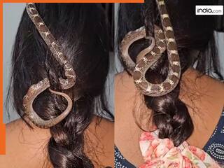 Video: जिंदा सांप से बनाई चोटी! लड़की की खौफनाक स्टाइलिंग देख उड़ गए लोगों के होश