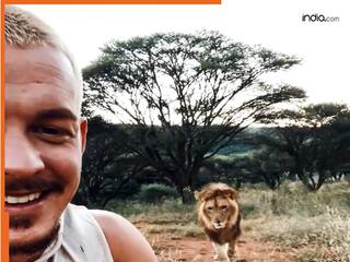 Sher Ka Video: वीडियो कॉल पर था शख्स तभी चुपके से पहुंच गया शेर, फिर जो हो गया होश ही उड़ जाएंगे | देखें वीडियो