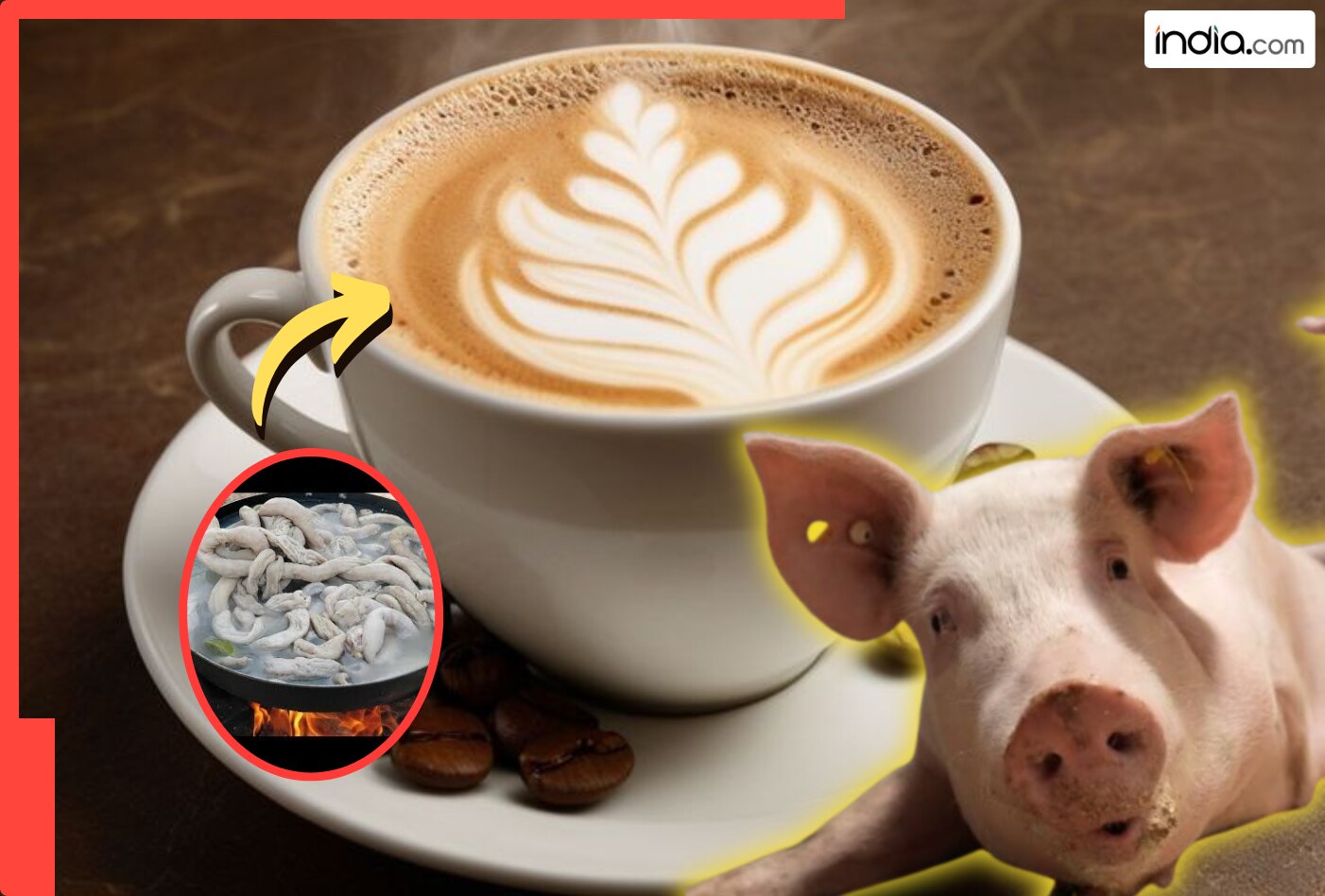 कॉफी नहीं, झटका है! इस देश में बिक रही 'सुअर के आंतों' से बनी कॉफी...1 कप की कीमत जानकर उड़ जाएंगे होश