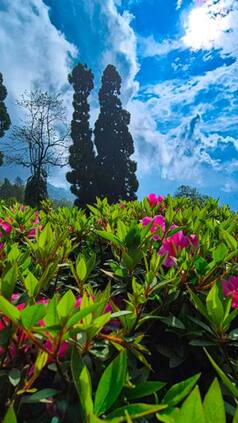 7 Hidden Hill Stations In India You Can Explore For Under ₹10,000