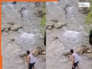 Azgar Ka Video: झील में खूब मस्ती कर रहे थे लोग, तभी बहते हुए आ गया अजगर | हिला देगा आगे का नजारा