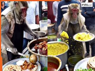 Bandar Ka Video: रोटी-सब्जी और पोहे बेचने लगा बंदर, खाने के लिए टूट पड़ी लोगों की भीड़ | देखें वीडियो