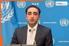 Shameless Pakistan pleads UN on Indus Waters Treaty, Bilawal Bhutto says, 'threat to cut off the water supply of....'