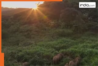 This 2 hour 43 minute thriller is a blockbuster with 8 IMDb rating, climax will blow your mind, has earned over Rs. 230 crores, the film is.., its lead actors are..