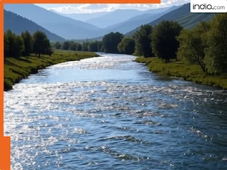 पाकिस्तान की तरफ बहने वाली चिनाब नदी के पानी को मोड़ने की तैयारी शुरू, भारत ने बनाया ये खास प्लान