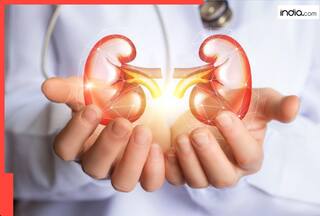इन 5 संकेतों से पहचानें अपनी किडनी की हालत....मिनटों में समझ आ जाएगा अंदर का सारा हाल