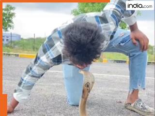 जहर से खेला प्यार का खेल! कोबरा को चूमने वाला शख्स इंटरनेट पर वायरल, इस हरकत ने उड़ाए सबके होश