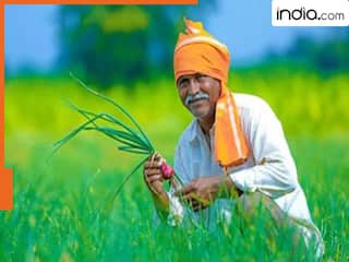 PM Kisan Samman Nidhi: इन वजहों से अटक सकती है 20वीं किस्त, जान लीजिए कैसे मिलेंगे 2000 रुपये