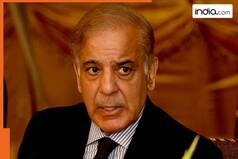 Pakistan requests CHEAPER condoms, IMF rejects PM Shehbaz Sharif's demand, says 'any such changes can...'