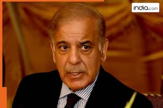 Pakistan requests CHEAPER condoms, IMF rejects PM Shehbaz Sharif's demand, says 'any such changes can...'