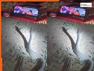 Snake Ka Video: मोबाइल पर पवन सिंह का भोजपुरी गाना देख रहा था सांप, शख्स ने चुपके से बना लिया वीडियो